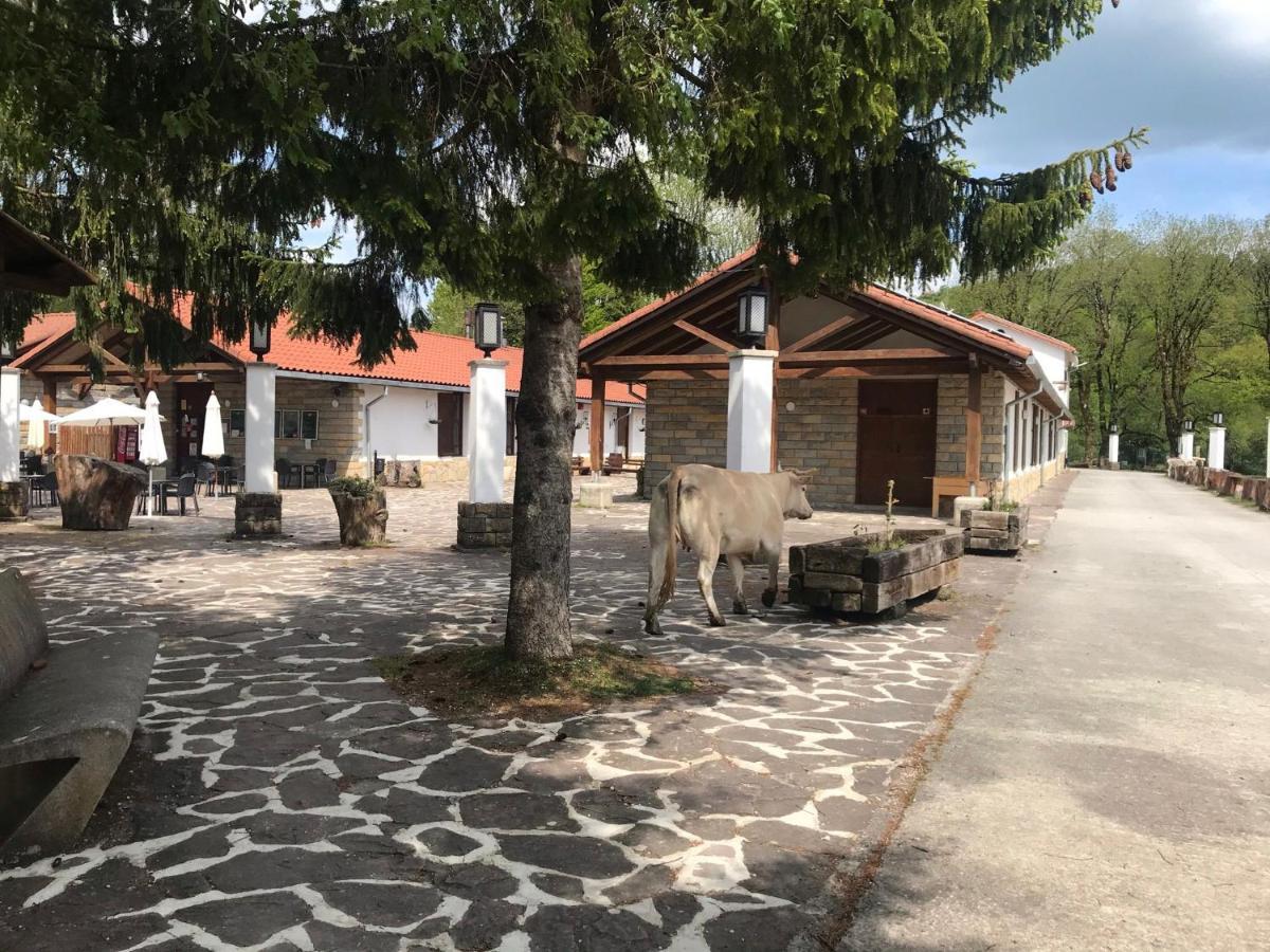 Kampaoh Sierra De Urbasa Hotel Bacaicoa Exterior photo